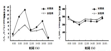 為了研究葉肉細胞間隙的c02濃度對光合作用的影響.研究人員將若干新鮮的某種植物葉片置于適宜的光照和溫度條件下的實驗裝置中.測定在不同的細胞間隙c02濃度條件下葉肉細胞中