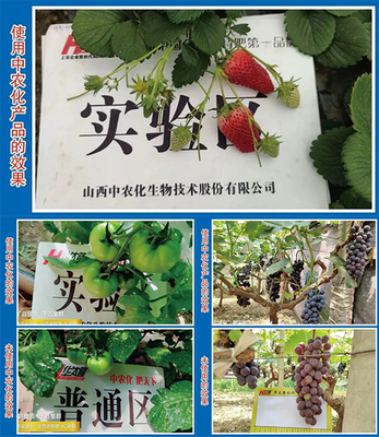 【產(chǎn)品推薦】改良土壤、預(yù)防病害,就選硅鈣鎂中微肥系列