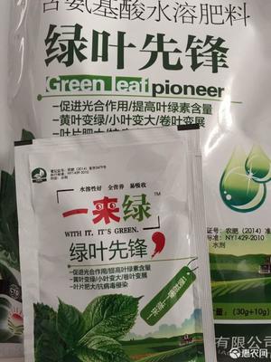 綠葉先鋒 高效葉面肥‘一來(lái)綠’，黃葉變綠與光合作用的奧秘